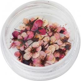SMint コデマリ 5.Dusty Pink