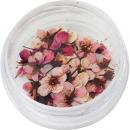 SMint コデマリ 5.Dusty Pink