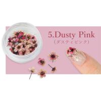 SMint コデマリ 5.Dusty Pink