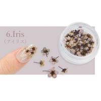 SMint コデマリ 6.Iris
