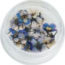 SMint コデマリ 8.Royal Blue