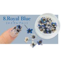 SMint コデマリ 8.Royal Blue