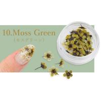 SMint コデマリ 10.Moss Green