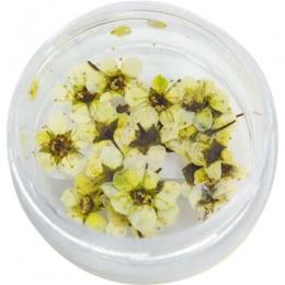 SMint コデマリ 11.Lime Yellow