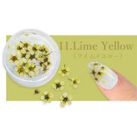 SMint コデマリ 11.Lime Yellow