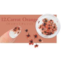 SMint コデマリ 12.Carrot Orange