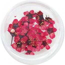 SMint コデマリ 13.Cherry