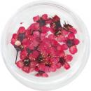 SMint コデマリ 13.Cherry
