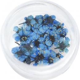 SMint コデマリ 15.Cobalt Blue