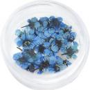 SMint コデマリ 15.Cobalt Blue