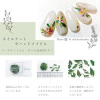 SMint リーフ LE-7