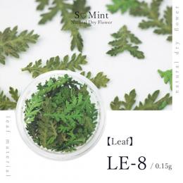 SMint リーフ LE-8