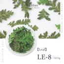 SMint リーフ LE-8
