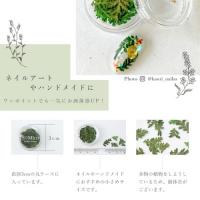 SMint リーフ LE-8