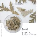 SMint リーフ LE-9