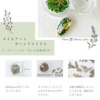 SMint リーフ LE-9