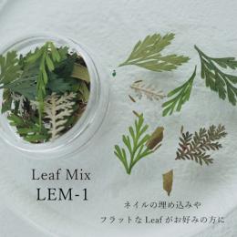 SMint リーフミックス LEM-1