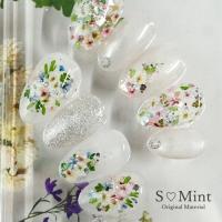 SMint リーフミックス LEM-1