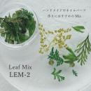 SMint リーフミックス LEM-2