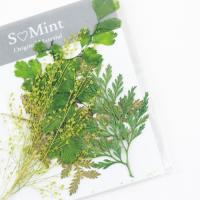 SMint ドライリーフ アソート