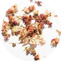 SMint ミックスフラワー1 MF1-6