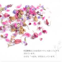SMint ミックスフラワー2 MF2-3