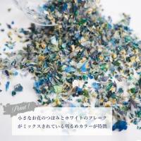 SMint ミックスフラワーフラット6 MFF6-5