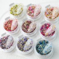 SMint ミックスフラワーフラット6 9色セット