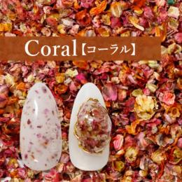 SMint フラワーモチーフパウダー Coral