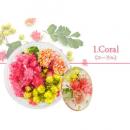 SMint フルレット1 1.Coral