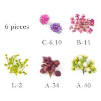 SMint フルレット1 3.Purple