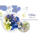 SMint フルレット1 5.Blue