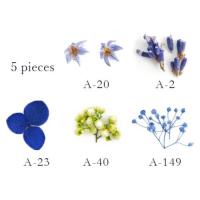 SMint フルレット1 5.Blue
