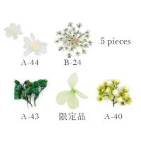 SMint フルレット1 6.Green