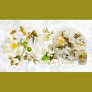 SMint フルレット2 1.White×Yellow