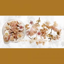 SMint フルレット2 2.Apricot×Dusty Rose