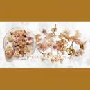 SMint フルレット2 2.Apricot×Dusty Rose