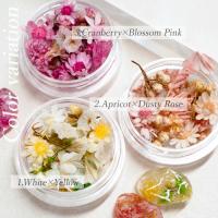 SMintフルレット2 3.Cranberry×BlossomPink