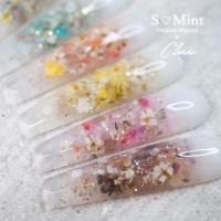 SMint フラワーフレーク2 6色セット