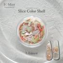 SMint スライスカラーシェル 1.Casual