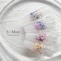 SMint スライスカラーシェル 1.Casual