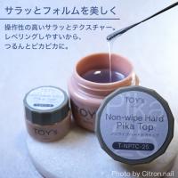 TOYsXINITY ノンワイプハードピカトップ 5g