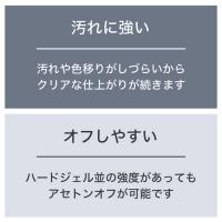 TOYsXINITY ノンワイプハードピカトップ 25g