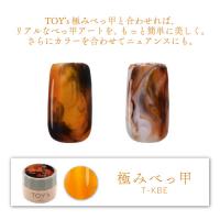 TOYsXINITY 極みべっ甲の素 5g T-KBEM