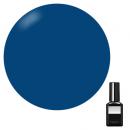 PRESTO ブラッシュオンカラージェル 10g 232