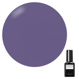 PRESTO ブラッシュオンカラージェル 10g 236