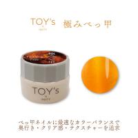 TOYsXINITY 極みべっ甲 5g T-KBE