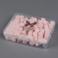 ICE GELキューブスポンジ&ピッカーセット