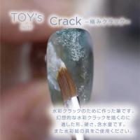 TOYsXINITY atelierRond 極みCrack