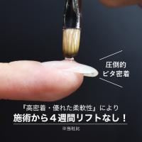 TOYsXINITY ハイブリットピタベース 25g
